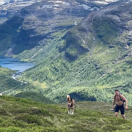 Voss Mountain Gjestgiverier *