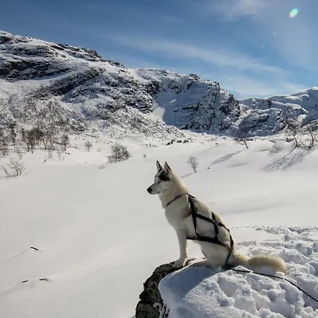 게스트하우스 Voss Mountain Mjolfjell