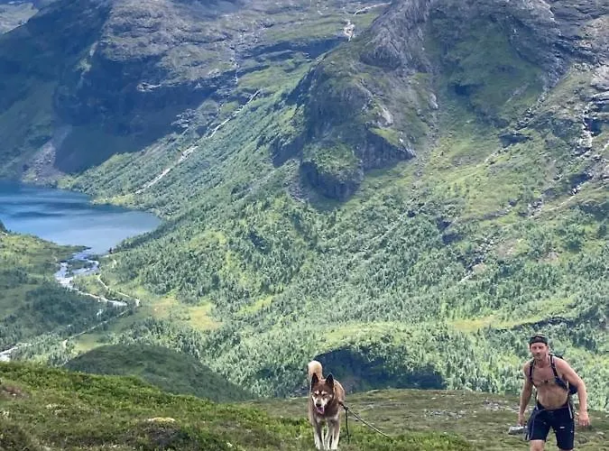 Voss Mountain Vendégház *