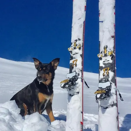 Voss Mountain * Mjolfjell