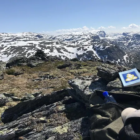 Voss Mountain